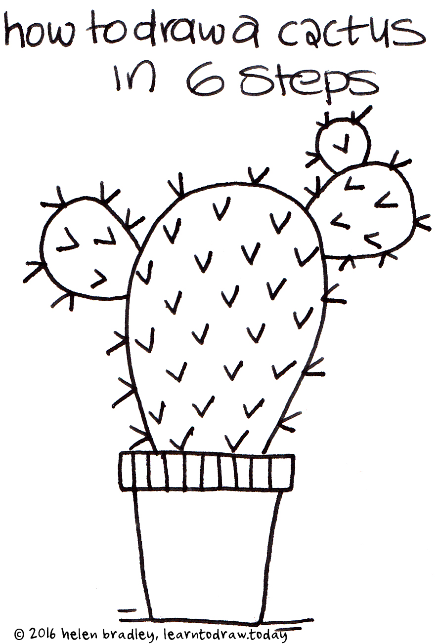 how to draw a cactus in 6 steps
