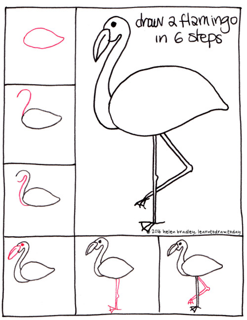 Learn to Draw A Flamingo in 6 Steps Learn To Draw