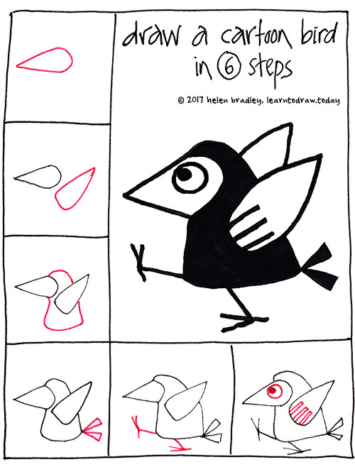Draw a cartoon bird in 6 steps : Learn To Draw