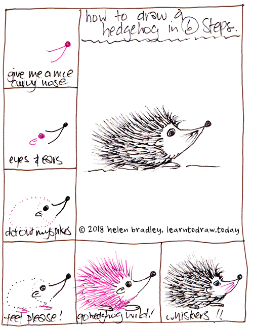 learn to draw a hedgehog