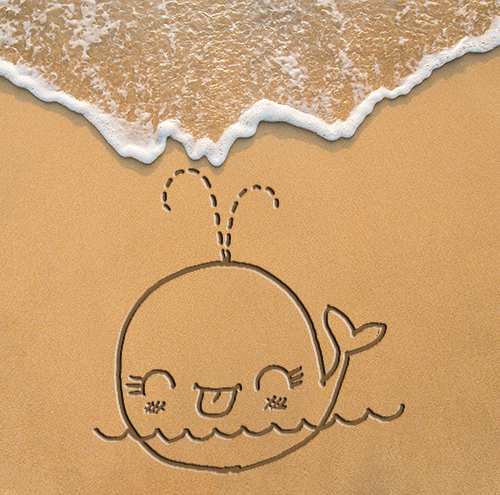 Draw a whale in the sand 